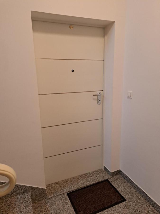 Apartman Blue 茨里克韦尼察 外观 照片