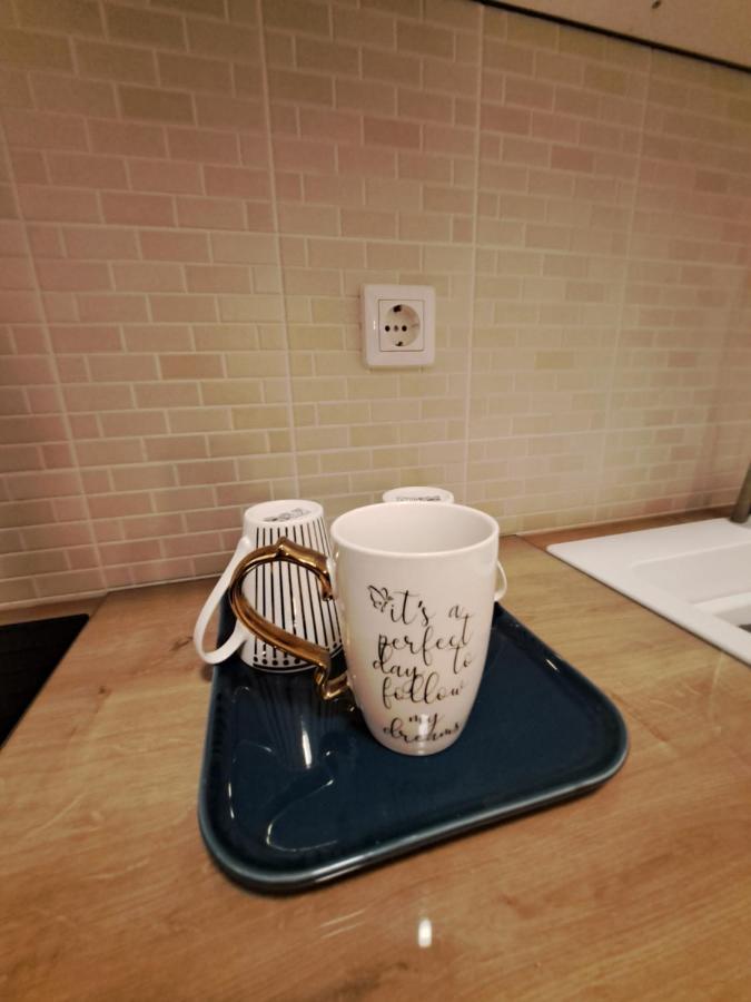 Apartman Blue 茨里克韦尼察 外观 照片